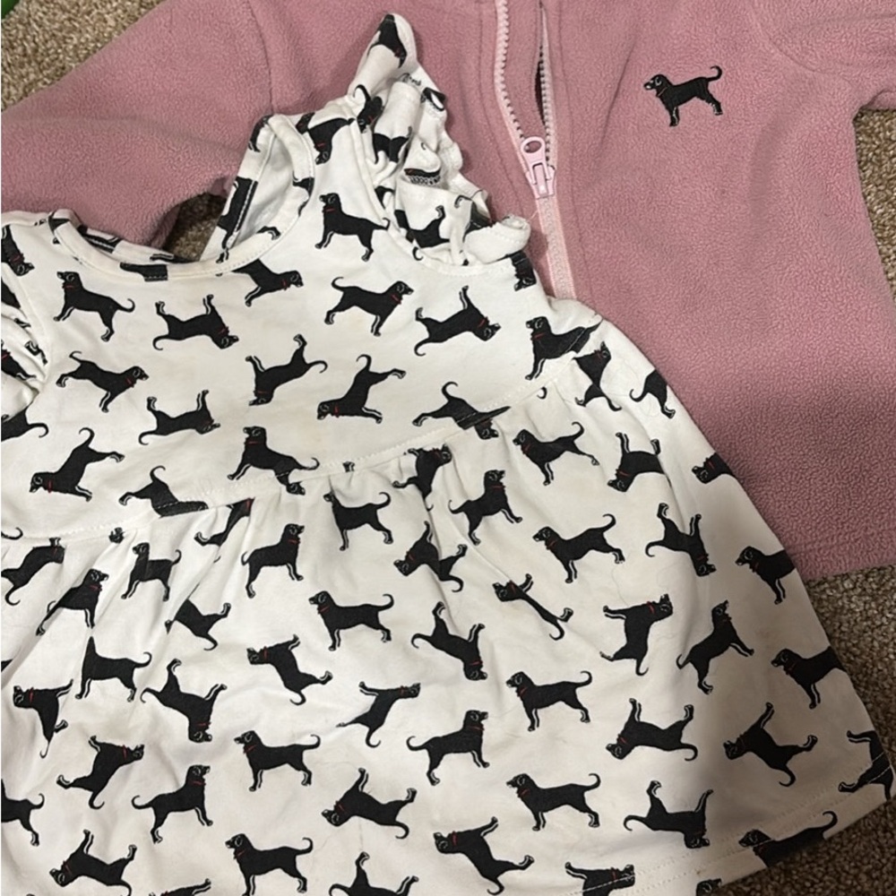 The Black Dog Pink Jacket and Dog Print Dress Set